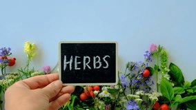 Various medicinal herbs on a white background. Selective focus. - Powered by Shutterstock - Get 15% off with code: PIKWIZARD15
