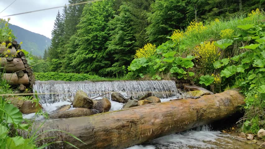 Waterfall with boulders and  tree trunks , alpine vegetation in the Ciucas  Mountains , part of the Carpathian range in Romania , Europe.