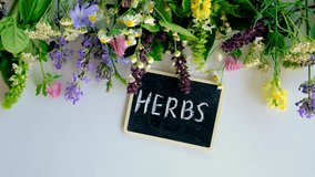 Various medicinal herbs on a white background. Selective focus. - Powered by Shutterstock - Get 15% off with code: PIKWIZARD15