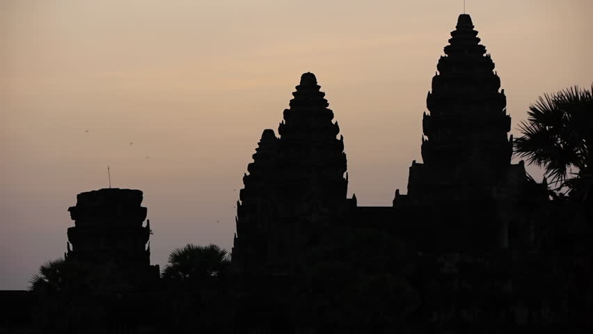 Silhouetted birds flying at Angkor Wat sunrise