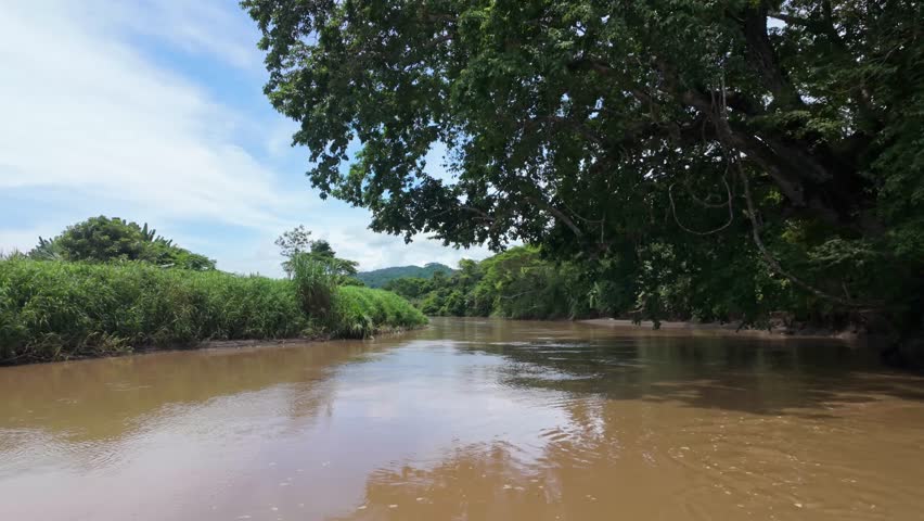 Passing under the lush green tropical trees on the Tárcoles River on a sunny summer day in Costa Rica.