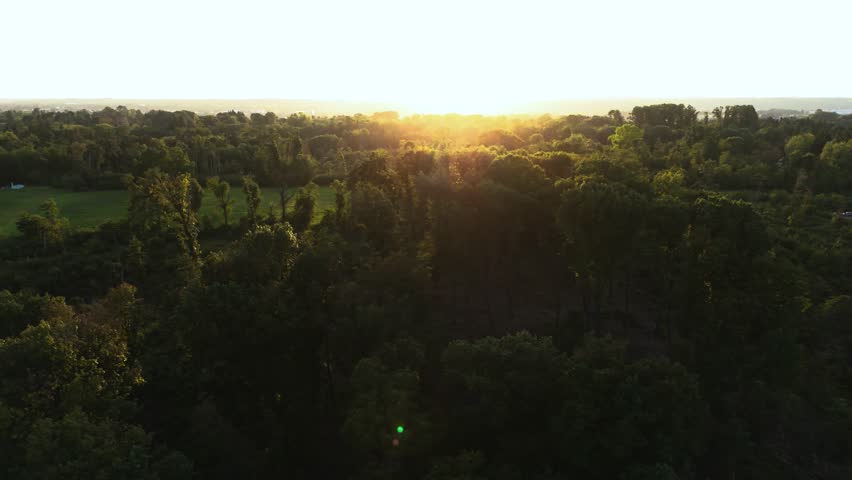Fly sideways over forest with some houses during sunset, Italy