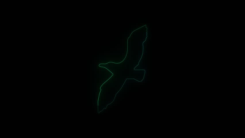 A neon outline of a seagull in flight, glowing with green and blue light against a stark black background.