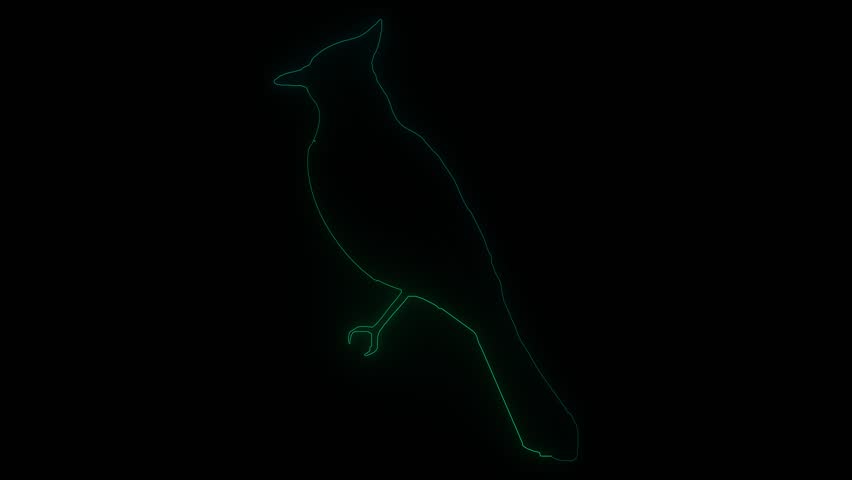 A neon outline of a cardinal perched against a black background, showcasing its distinctive crest and silhouette.