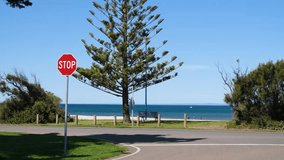 Stop sign at coastal roadside in Werribee South, Victoria, Australia, with pine tree, bench, and blue ocean horizon under clear summer sky. Concept of road safety, seaside travel, suburban environment - Powered by Shutterstock - Get 15% off with code: PIKWIZARD15