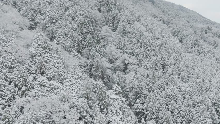 Aerial zooms Winter Landscape of Mount Hiei Forested trees, Peaks of Kyoto Japan