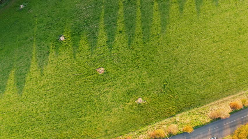 Aerial top-down drone video flying over golden autumn woods near Ware, Hertfordshire, UK. Long tree shadows reveal a symmetrical triangular tree layout, ending at the River Lee in afternoon light.
