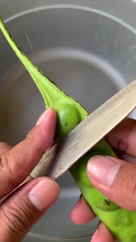 Peeling stink beans by hand. top view. Traditional food preparation.