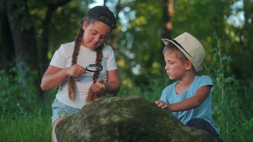 Girl and boy explore ground surface in forest. Sibling watching insects outdoors on stone. Curious kid learning about nature. Girl studies sibling. Nature walk for child. Boy exploring natural life.