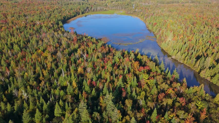 Drone push-in toward water drop-shaped lake surrounded by autumn pine forest in Ontario