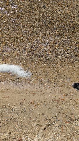 Tenaya Lake, at an elevation of 8,150 feet, is a beautful spot in Yosemite national park to enjoy an afternoon. 