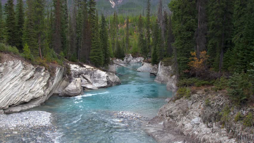 Blue glacial Kootenay River runs through rock canyon in mountain forest