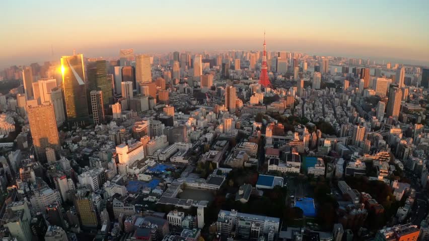Aerial view of Tokyo cityscape at sunrise with skyscrapers and Tokyo Tower view