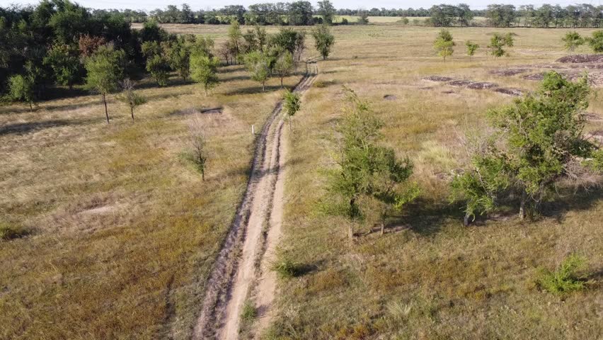 Aerial panorama: Expansive Ukrainian Azov Steppe landscape featuring dry grasses, scattered trees, and ancient granite boulders. Remote rural nature near Mariupol, Donbas region. High quality FullHD 