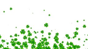 Falling shamrock leaves Saint Patrick's day animation on white background Feast of Saint Patrick - Powered by Shutterstock - Get 15% off with code: PIKWIZARD15