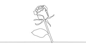 Self drawing animation of a rose flower in a continuous one line art style. Elegant floral designs, natural beauty, and romantic botanical concepts. - Powered by Shutterstock - Get 15% off with code: PIKWIZARD15