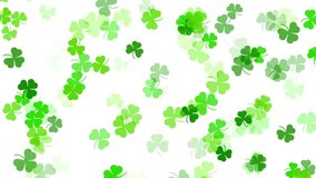 Falling shamrock leaves Saint Patrick's day animation on white background Feast of Saint Patrick - Powered by Shutterstock - Get 15% off with code: PIKWIZARD15