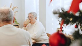 Elderly couple enjoying time drinking tea during the festive holiday season at a cozy family gathering - Powered by Shutterstock - Get 15% off with code: PIKWIZARD15