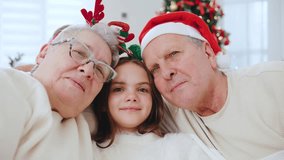 Portrait of Elderly couple celebrates New Year with their granddaughter, sharing joy and warmth by the Christmas tree in a cozy home setting - Powered by Shutterstock - Get 15% off with code: PIKWIZARD15