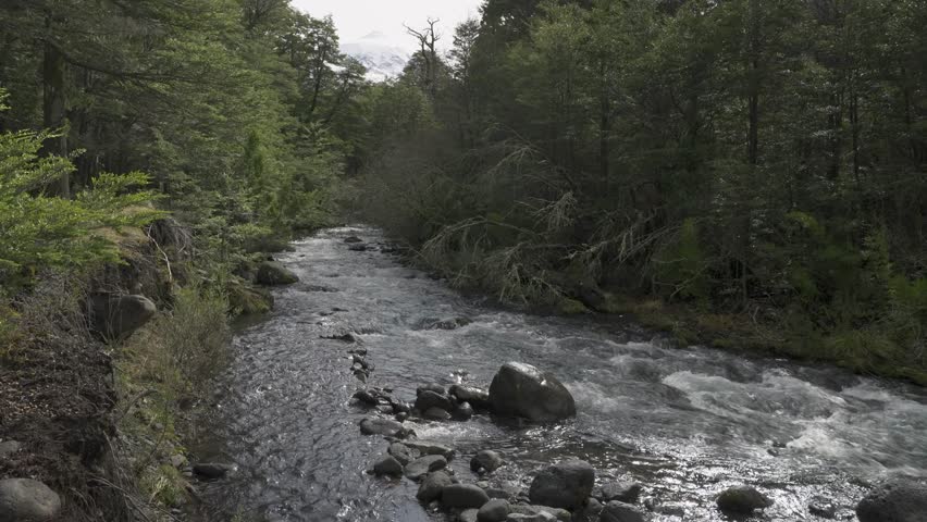 Rushing River Flowing Through a Dense Dark Forest with a Distant Lanin volcano. Relaxing Rive Sound