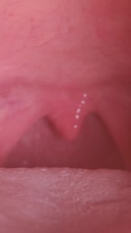 Close up view showing anatomy and inner structure of human throat. Vertical video.