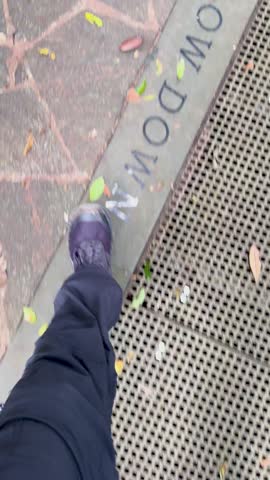 Individual walks on stone and gravel rainforest path, overcast daylight, handheld downward camera movement