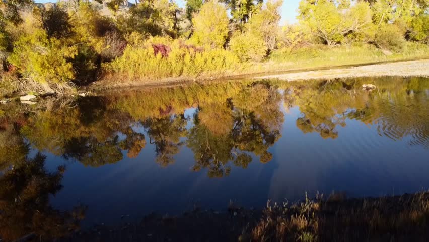 Beautiful fall day along the Yellowstone River, in Park County Montana, with reflecting leaves and Sheep Mountain slowly panning into view. 