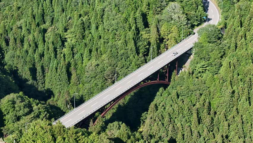 A bridge over a forest with a car driving on it. The bridge is very long and spans over a large area