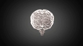 Upon appearing translucent 3D brain rotating clockwise inside glowing ring revealing neural network. Technology, neuroscience, innovation, digital, futuristic, research, visualization - Powered by Shutterstock - Get 15% off with code: PIKWIZARD15