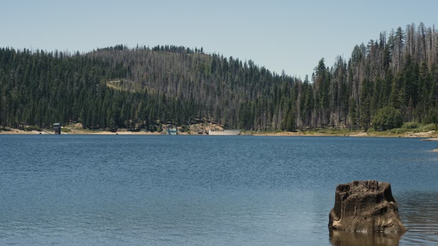 Mountain lake with forested hills and tree stump in water in summer