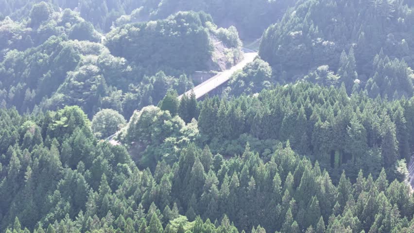 A mountain range with a road running through it. The road is surrounded by trees and the sky is cloudy
