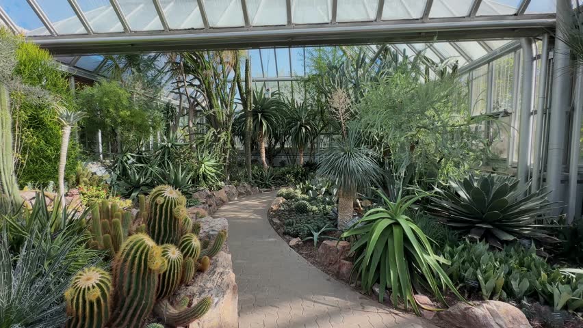 Serene indoor garden path at Chicago Botanical Garden, lush greenery