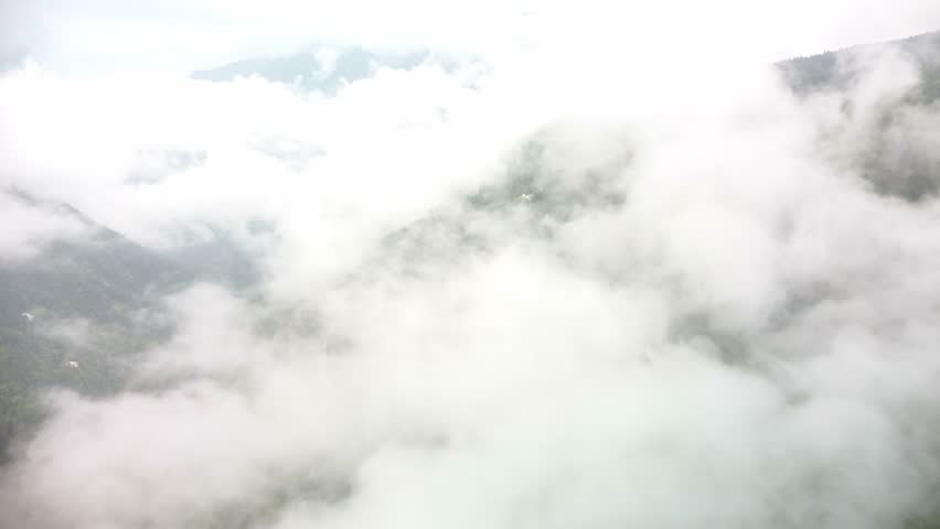 Heavy fog over the a dense pine wood mountain forest are of southern France near to Lake Annoy.