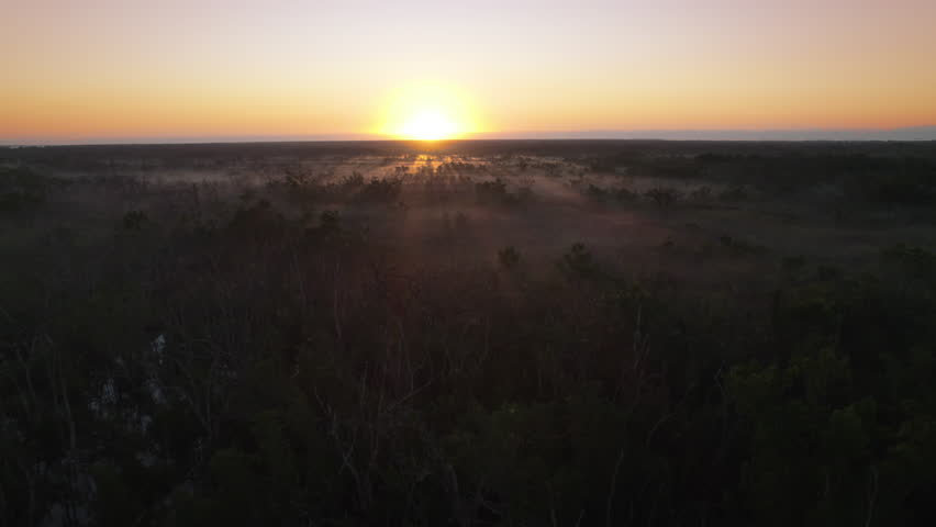 Everglades Foggy Swamp Marsh Slough Sunrise Aerial 2