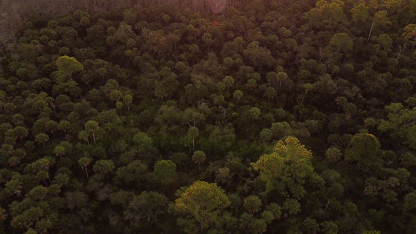 Big Cypress Preserve Morning Reveal Aerial