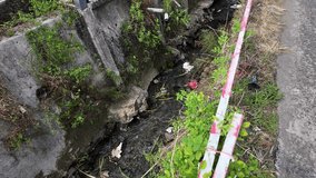 Close-up view of tree roots exposed due to erosion. Soil degradation is visible, with green plants growing nearby. The scene highlights environmental issues. - Powered by Shutterstock - Get 15% off with code: PIKWIZARD15