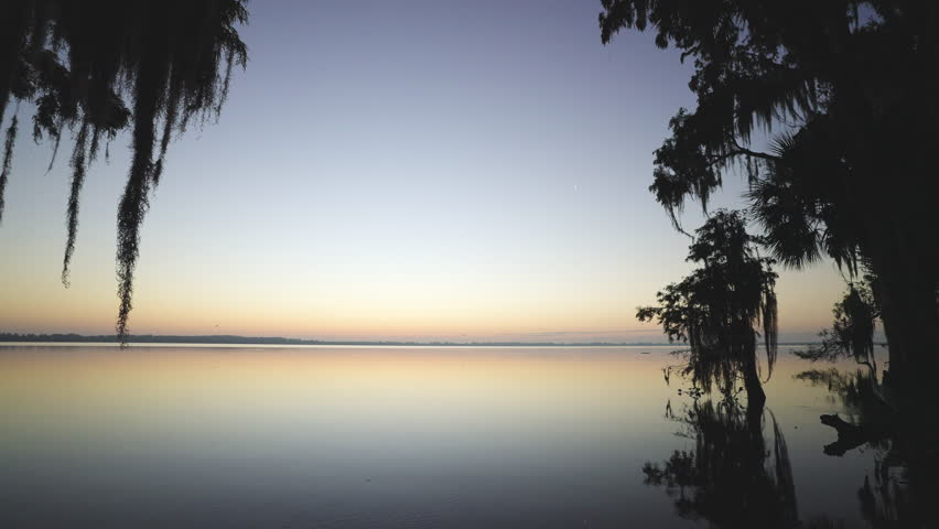 Cypress Tree Moss Lake Dawn Landscape 5