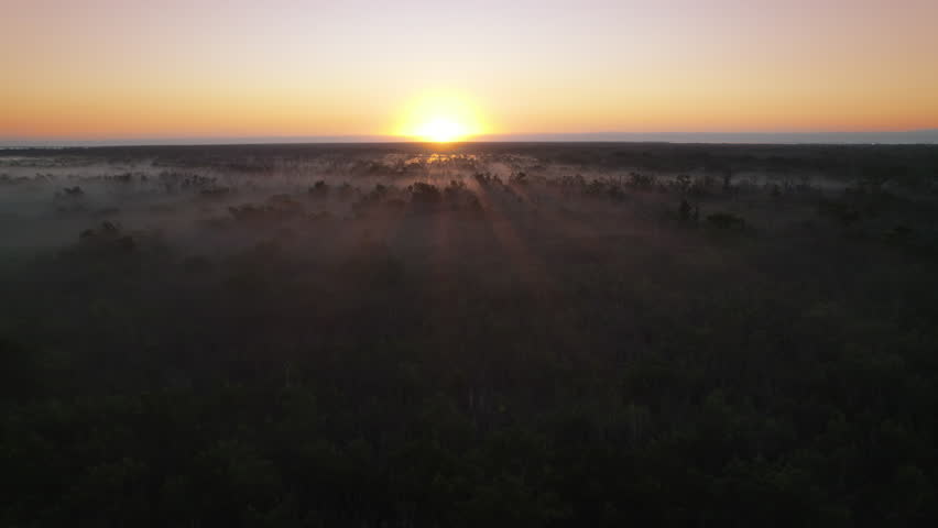 Everglades Foggy Swamp Marsh Slough Sunrise Aerial