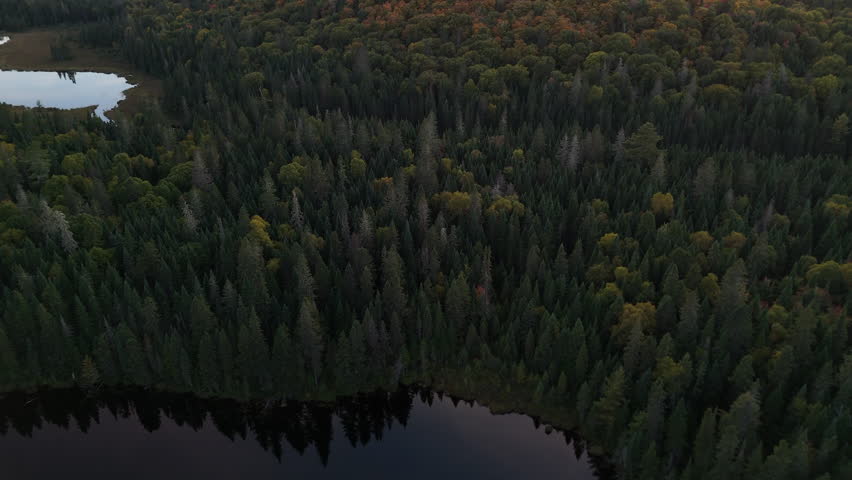 Aerial drone shot of a sunset over a calm lake and dense forest in Mauricie, Quebec, Canada. Warm evening colors illuminate the peaceful wilderness.