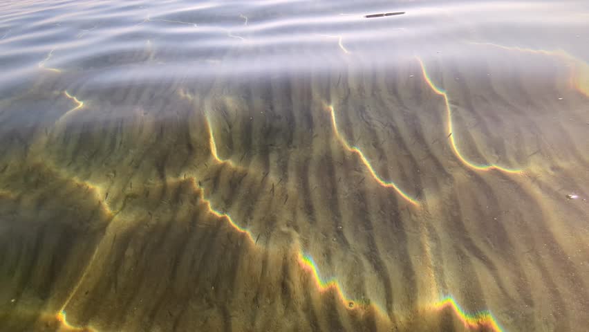 Slow motion underwater view of tiny fish group over sand ripples in transparent shallow sea with bright sunlight