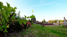 An energetic young man enjoys active recreation and parkour in the heart of Sumy, Ukraine. He performs a somersault on a grassy lawn next to blooming roses, symbolizing freedom, youth, and vitality. - Powered by Shutterstock - Get 15% off with code: PIKWIZARD15