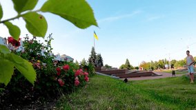 An energetic young man enjoys active recreation and parkour in the heart of Sumy, Ukraine. He performs a somersault on a grassy lawn next to blooming roses, symbolizing freedom, youth, and vitality. - Powered by Shutterstock - Get 15% off with code: PIKWIZARD15