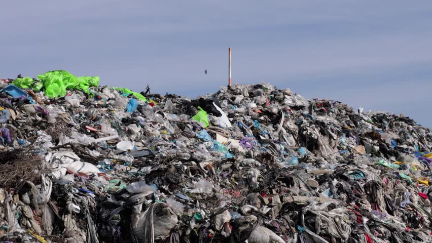 Exploration of a landfill site showcasing the vast amount of garbage, plastic, and waste affecting the local environment and ecology.
