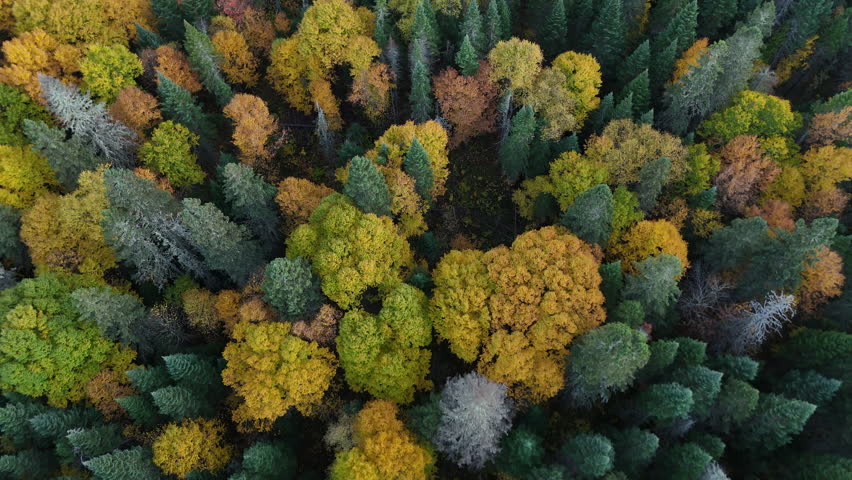 Aerial view of a colorful autumn sunset over a lake and forested mountains in Mauricie, Quebec, Canada. Warm golden light reflects on the calm water.