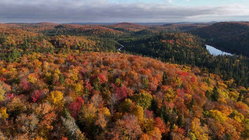 Aerial view at morning golden hour over a vibrant autumn forest, lake, and mountains in Mauricie, Quebec, Canada. Soft light reveals the rich fall colors.