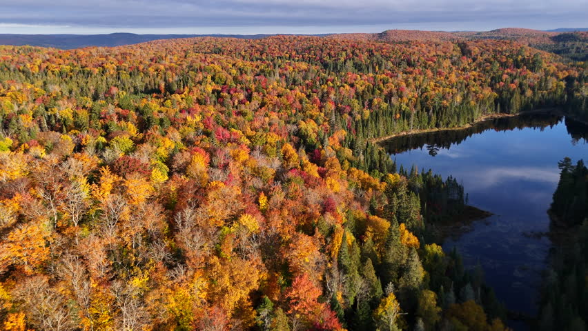 Aerial view at morning golden hour over a vibrant autumn forest, lake, and mountains in Mauricie, Quebec, Canada. Soft light reveals the rich fall colors.