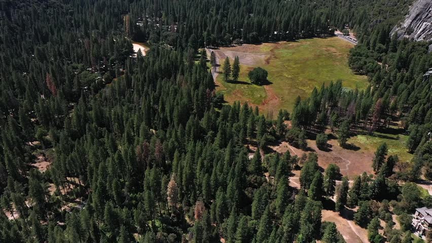 Aerial drone view showing Yosemite Valley with dense pine forest, open green meadow, and towering granite cliffs under clear blue sky in Yosemite National Park California USA