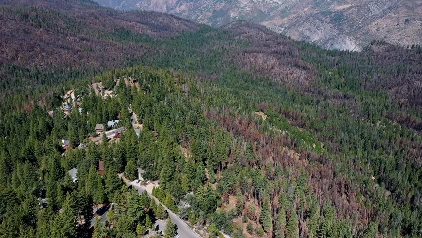 Aerial drone view showing Sierra Nevada foothills near Yosemite with dense forest, mountain slopes, and distant valleys under clear blue sky in California during sunny day.