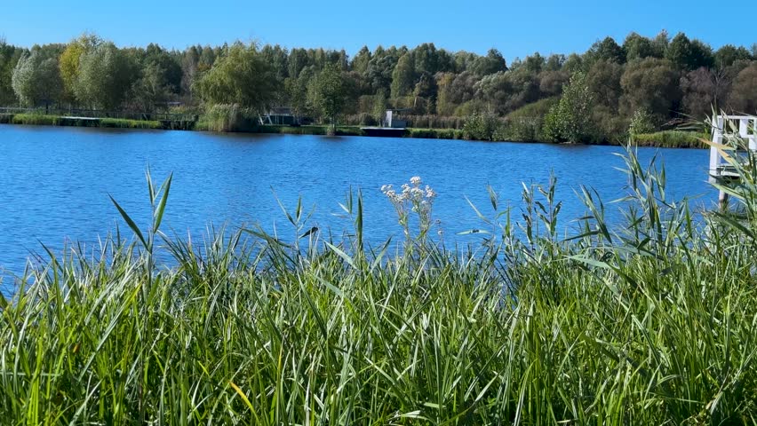 Beautiful Landscape with River, Lake and Forest
