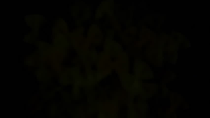 Multicolored Pasta. Italian pasta flies up and hang in front of the camera. Then fly away from the frame slowly into the darkness